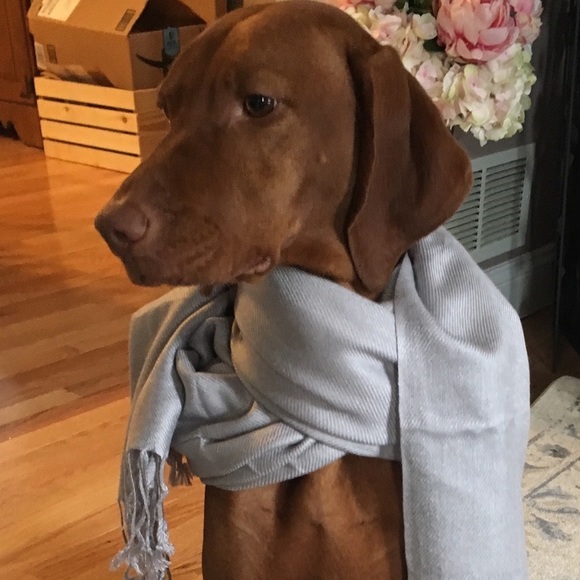 Welcome To My Plethora Of Stuff! - Picture 4 of 6